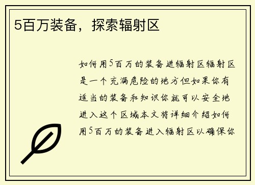 5百万装备，探索辐射区